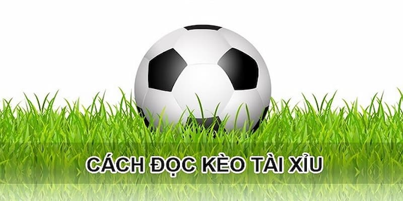 Khám phá cách đọc kèo Tài xỉu đơn giản